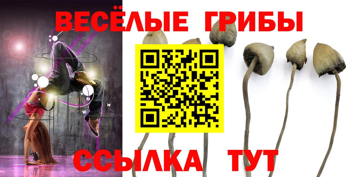 Чебоксары  Галлюциногенные грибы ЛСД  Галлюциногенные грибы GOLDEN TEACHER  Вход с VPN 